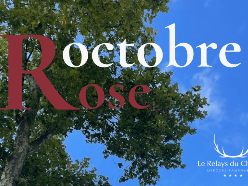 Le Relays se mobilise pour Octobre&nbsp;Rose